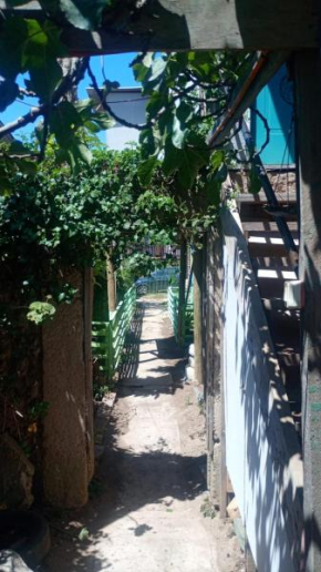 Cabaña Horcón para 4 personas
